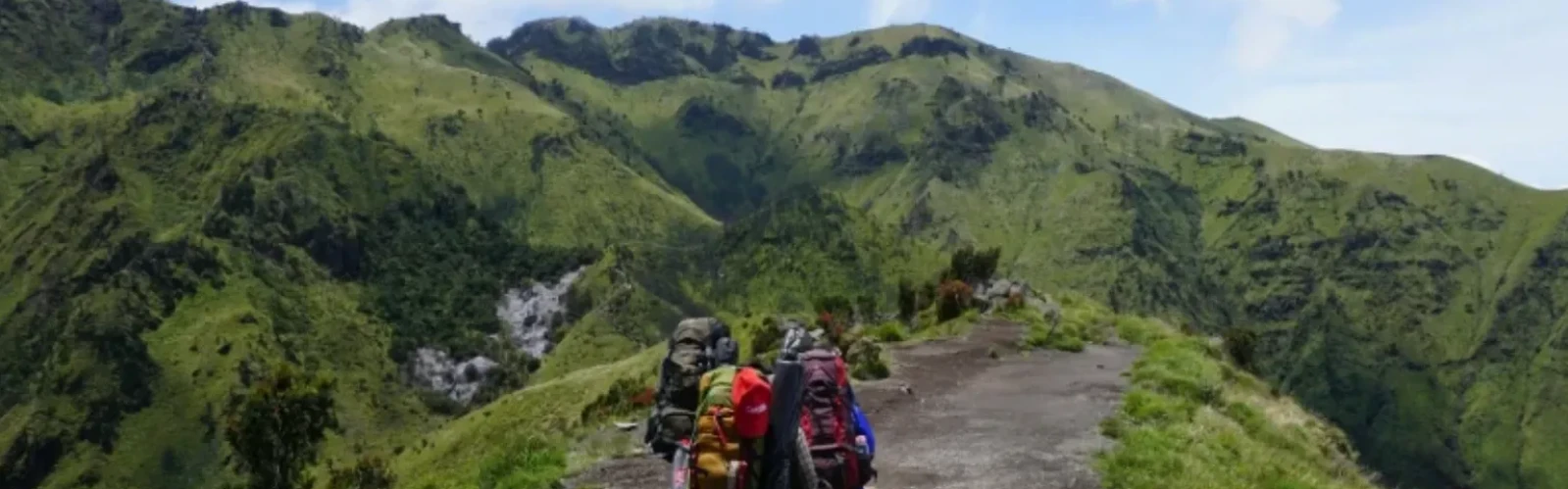 Top Scenic Hiking Destinations in San Francisco for Nature Lovers