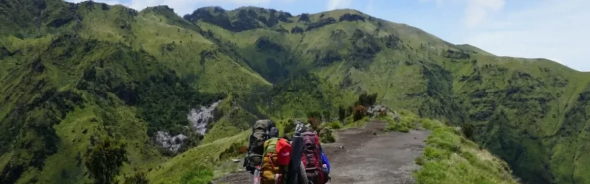 Top Scenic Hiking Destinations in San Francisco for Nature Lovers