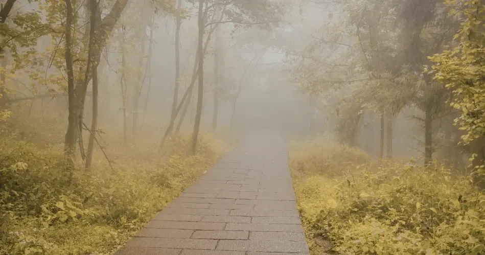 Top Scenic Hiking Destinations in San Francisco for Nature Lovers
